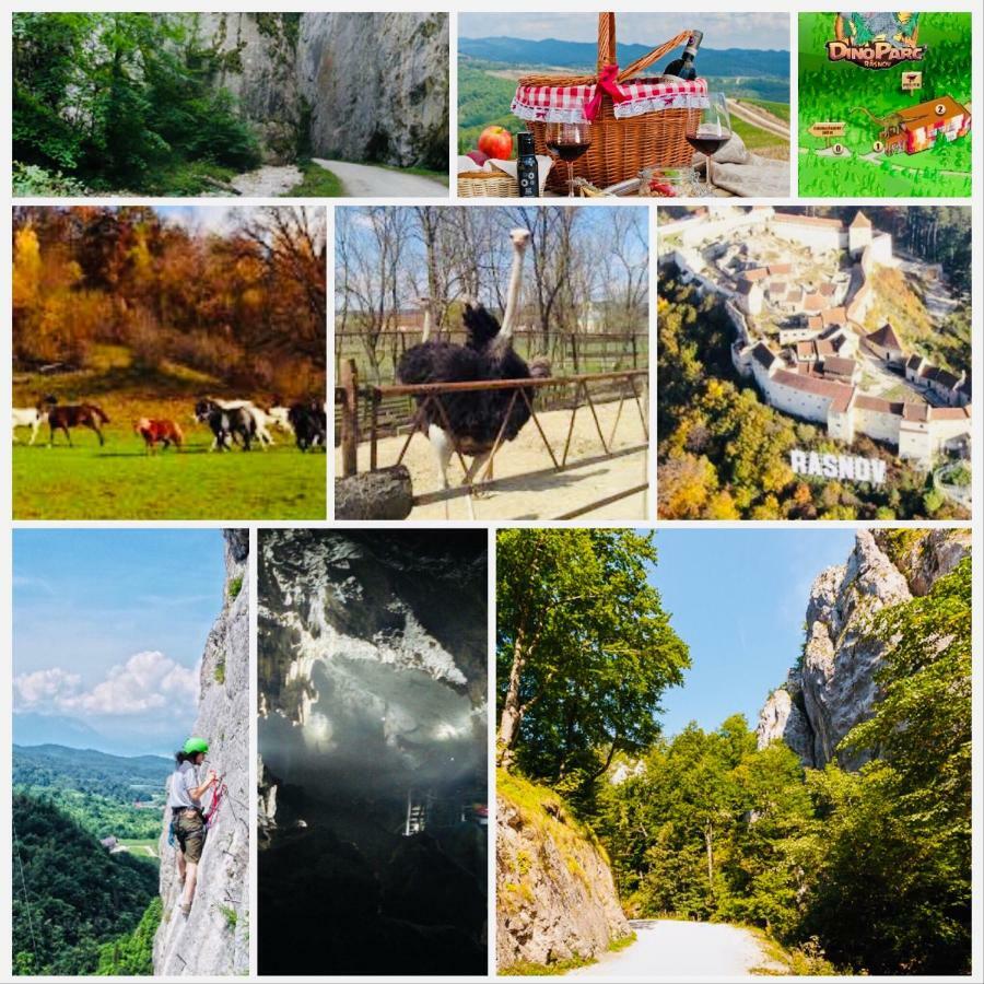Casuta Boema Βίλα Rîşnov Εξωτερικό φωτογραφία